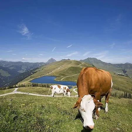 Apartmán Almliesl Mitt-608