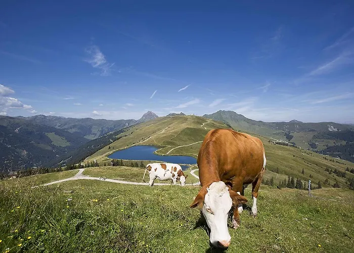 Διαμέρισμα Almliesl Mitt-608